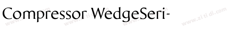 Compressor WedgeSeri字体转换